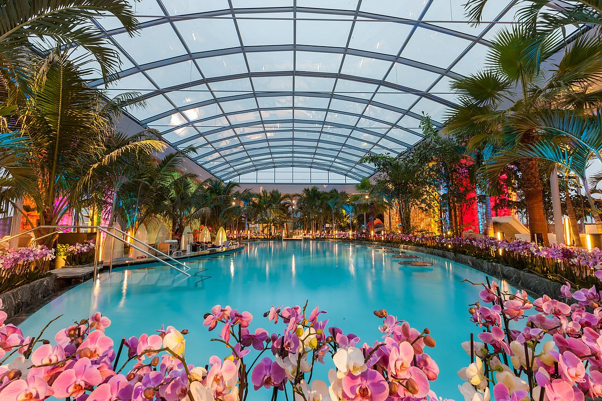 Tours e ingressos para o Therme Bucharest